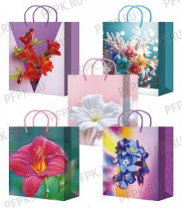 Сумочка бумажная 11х13х6 МЕГА (S) S-172/173/174/175/176 (Цветы) [10/200]