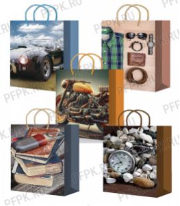 Сумочка бумажная 22х31х10 МЕГА (ML) ML25-706/707/708/709/710 (Мужская) [10/200]