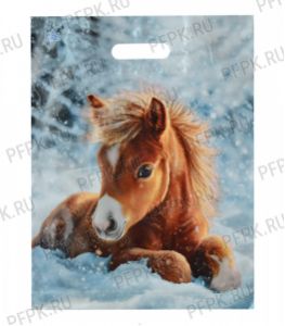 НГ МАГИЯ ПРАЗДНИКА проруб. 40х31(60 мкм)ПВД,лам.,ТИКО Ветерок [50/500]