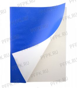 Тетрадь А4 80л бум-винил (402-649) [1/20]