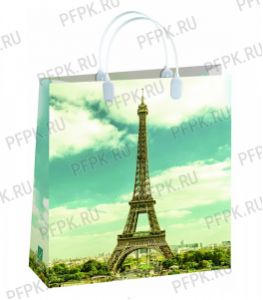 Сумочка из мягкого пластика 01 (26х23х10) малая BAS-145 (Париж) [20/200]