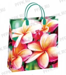 Сумочка из мягкого пластика 01 (26х23х10) малая BAS-139 (Цветы) [20/200]