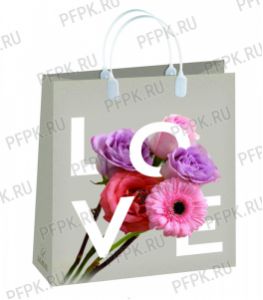 Сумочка из мягкого пластика 01 (26х23х10) малая BAS-160 (Love) [20/200]