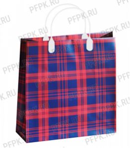 Сумочка из мягкого пластика 01 (26х23х10) малая BAS-165 (Клетка) [20/200]