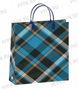 Сумочка из мягкого пластика 03 (41х32х10) большая BAL-185 (Клетка синяя) [20/200]