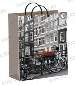 Пакет СОФТПЛАСТ с пласт.ручкой 40х30 (140мкм) мяг.пластик ТИКО Голландия [1/40]