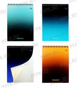 Блокнот А5 (40 листов) на гребне Моноколор. Баланс (383-260/Б5гр40 06171) [8/48]