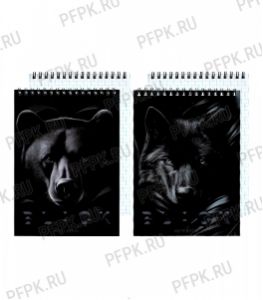 Блокнот А5 (40 листов) на гребне Just black (379-076/Б5гр40 07048) [4/48]