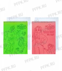 Блокнот А5 (40 листов) на гребне Волшебник Изумрудного Города (377-318/Б5гр40 08351) [4/48]