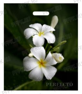 ПЕРФЕКТО, вырубная ручка, 42х48+3 (90мкм) ПВД, ТИКО Плюмерия [25/300]