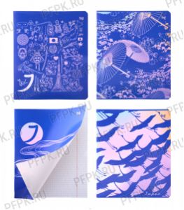 Тетрадь 48л клетка эконом Синий цвет (360-781/Т5ск48 12742) [5/60]