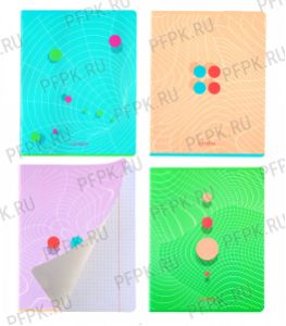 Тетрадь 48л клетка эконом Динамика (340-984/Т5ск48 11040) [8/80]