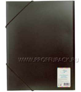 Папка на резинках А4, 500мкм (158-513 / FE 1_326) [1/50]