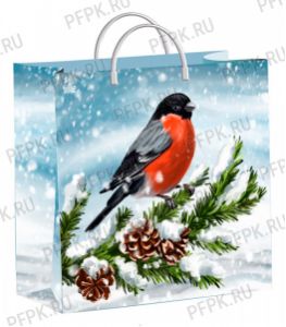 НГ СОФТПЛАСТ с пласт.ручкой 30х30 (140мкм) мяг.пластик ТИКО Снегирек [1/40]