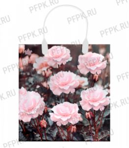 Пакет СОФТПЛАСТ с пласт.ручкой 24х26 (140мкм) мяг.пластик ТИКО Таинственные цветы [1/40]