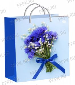 Пакет СОФТПЛАСТ с пласт.ручкой 24х26 (140мкм) мяг.пластик ТИКО Милые васильки [1/40]