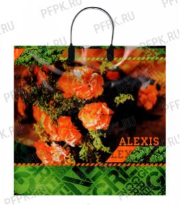 Пакет с пласт.руч. ФОТОПЕЧАТЬ 36х34 (85 мкм) ПЛР Алексис [10/100]