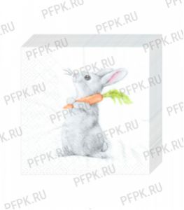 Салфетки бум. DESNA BOUQUET 20х20, 2-сл. (250 листов) Кролик и морковка [6/6]