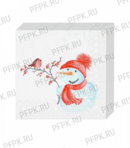 Салфетки НГ бум. DESNA BOUQUET 20х20, 2-сл. (250 листов) Милый снеговик [6/6]