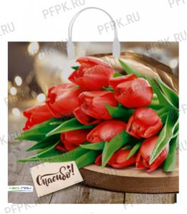 Пакет с пласт.руч. ФОТОПЕЧАТЬ 37х35 (90 мкм) Спасибо [5/100]