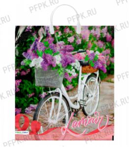 Пакет с пласт.руч. ФОТОПЕЧАТЬ 38х44 (90 мкм) Велосипед [5/100]