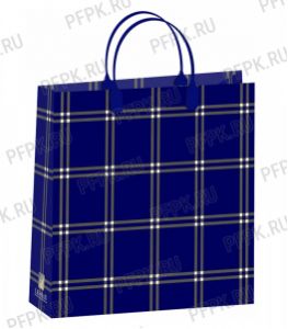 Сумочка из мягкого пластика 02 (30х30х10) средняя BАМ-189 (Синяя клетка) [20/200]