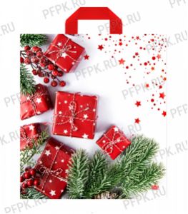 НГ ФУЖЕРЫ 42х38 (37 мкм) ПНД, ТИКО Время подарков [50/300]